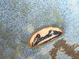 a small piece of bread that has a picture of a mountain on it