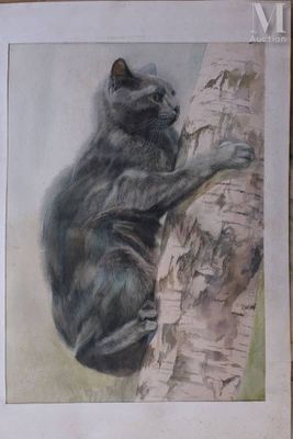 a painting of a cat that is sitting on a tree