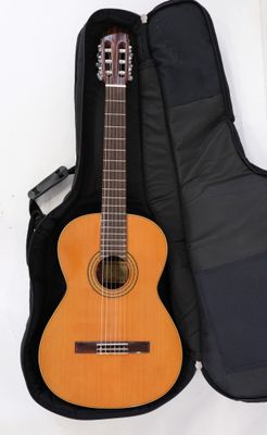 an image of a guitar in a case on a white surface