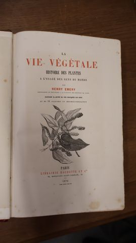 « La vie végétale » Henri Emery