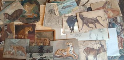 de nombreuses photos d'animaux accrochées au mur de cette pièce
