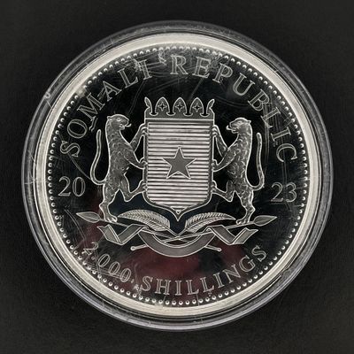 une image montrant un gros plan d'une pièce de monnaie posée sur une surface noire