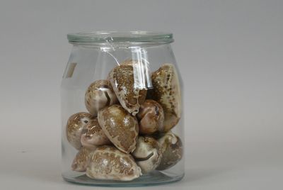 a glass jar filled with shells on a white surface