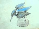 le dessin d'un oiseau perché sur une table