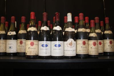 bottles of wine lined up on a shelf in a room