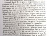 Photo 2/6 du lot