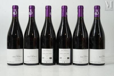 six bouteilles de vin sont alignées sur une table