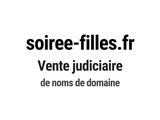 Photo 1/1 du lot