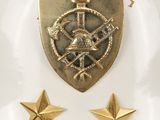 two gold stars and a gold shield on a white surface