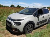 La petite voiture est garée sur le bord de la route, dans l'herbe.
