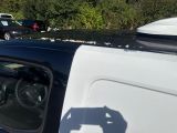 cars parked in a parking lot next to a forest filled with trees