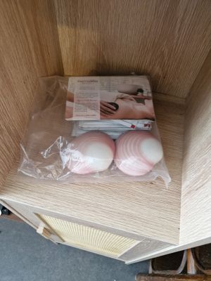 deux oignons dans un sac en plastique posé sur une étagère en bois