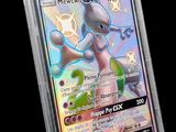 gros plan d'une carte pokemon dans un étui en plastique