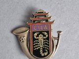 a close up of a metal pin with a dragon on it