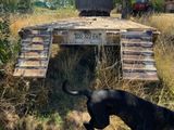 a dog that is standing in the grass near a truck