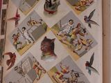an open book with pictures of cats and dogs on it