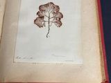 an open book with a drawing of a leaf on it