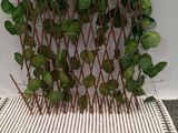 Photo 1/2 du lot