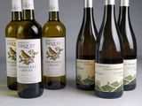 plusieurs bouteilles de vin sont alignées sur une table