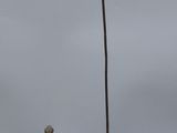 statue d'un homme coiffé d'un chapeau, fixée sur un poteau, à côté d'une statue d'un homme coiffé d'un chapeau, fixée sur un poteau