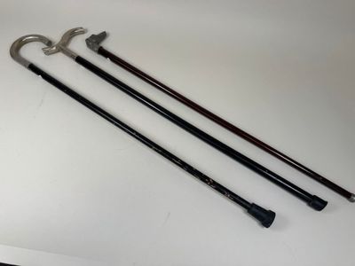 three different types of walking canes on a white surface
