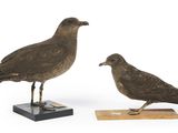 Deux oiseaux sont posés sur un bloc de bois posé sur une surface blanche.