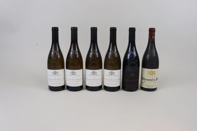 six bouteilles de vin alignées sur une surface blanche
