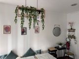 une pièce avec un lit, une table, un miroir et des plantes suspendues au plafond