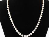 un collier de perles blanches autour du cou d'un mannequin, muni d'un fermoir en or