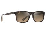 ray banz sunglasses in tortoise tortoise with brown gradient lenses