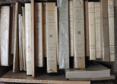 beaucoup de livres qui traînent sur une étagère
