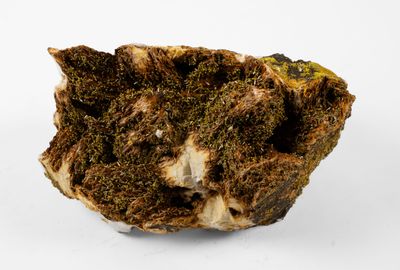 un rocher recouvert de mousse sur une surface blanche