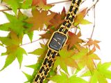 a watch that is sitting on a branch of a tree