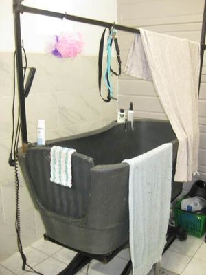 une baignoire au milieu d'une salle de bains, d'où pendent des serviettes
