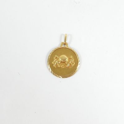 gros plan d'une pièce d'or sur une surface blanche