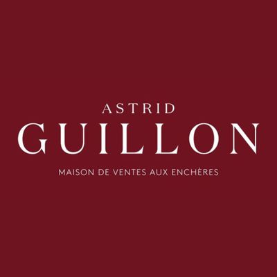 la couverture du livre d'Astrid Guillon