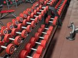 rows of red dumbs in a gym with rows of black dumbs