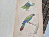 two birds sitting on top of a book on a table