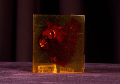 une assiette en or ornée d'un cœur rouge, posée sur une nappe violette