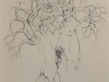 une image représentant un dessin d'un arbre sans feuilles