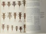 a book with a picture of insects on it