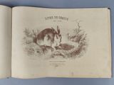 un livre ouvert sur lequel figure l'image d'un lapin