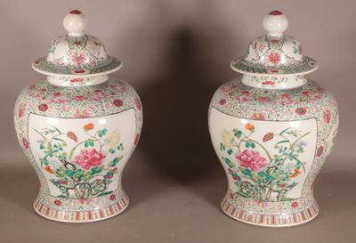 paire de vases chinois avec des fleurs et des oiseaux peints dessus