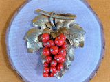 a picture of a plate with a bunch of red berries on it