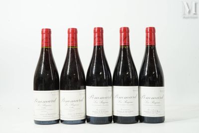 six bouteilles de vin sont alignées sur une surface blanche