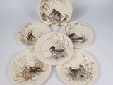 four plates with birds on them sitting on a white surface
