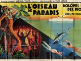 une affiche de film mettant en scène une femme en train de plonger dans l'océan