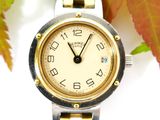 an image of a close up of a wrist watch with a leaf in the background