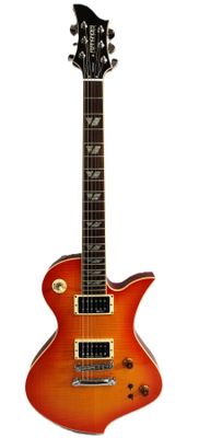 a close up of a guitar on a white background with a white background