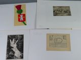 several different pictures of animals and flowers are on a table
